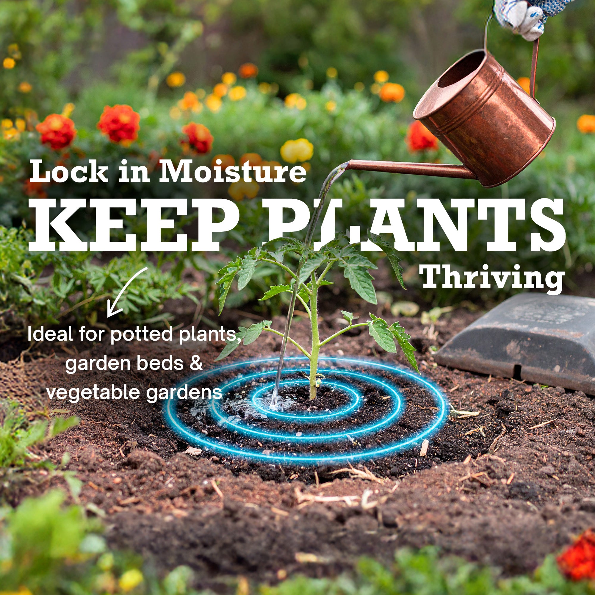 Aspen Mulch - 10 Quart