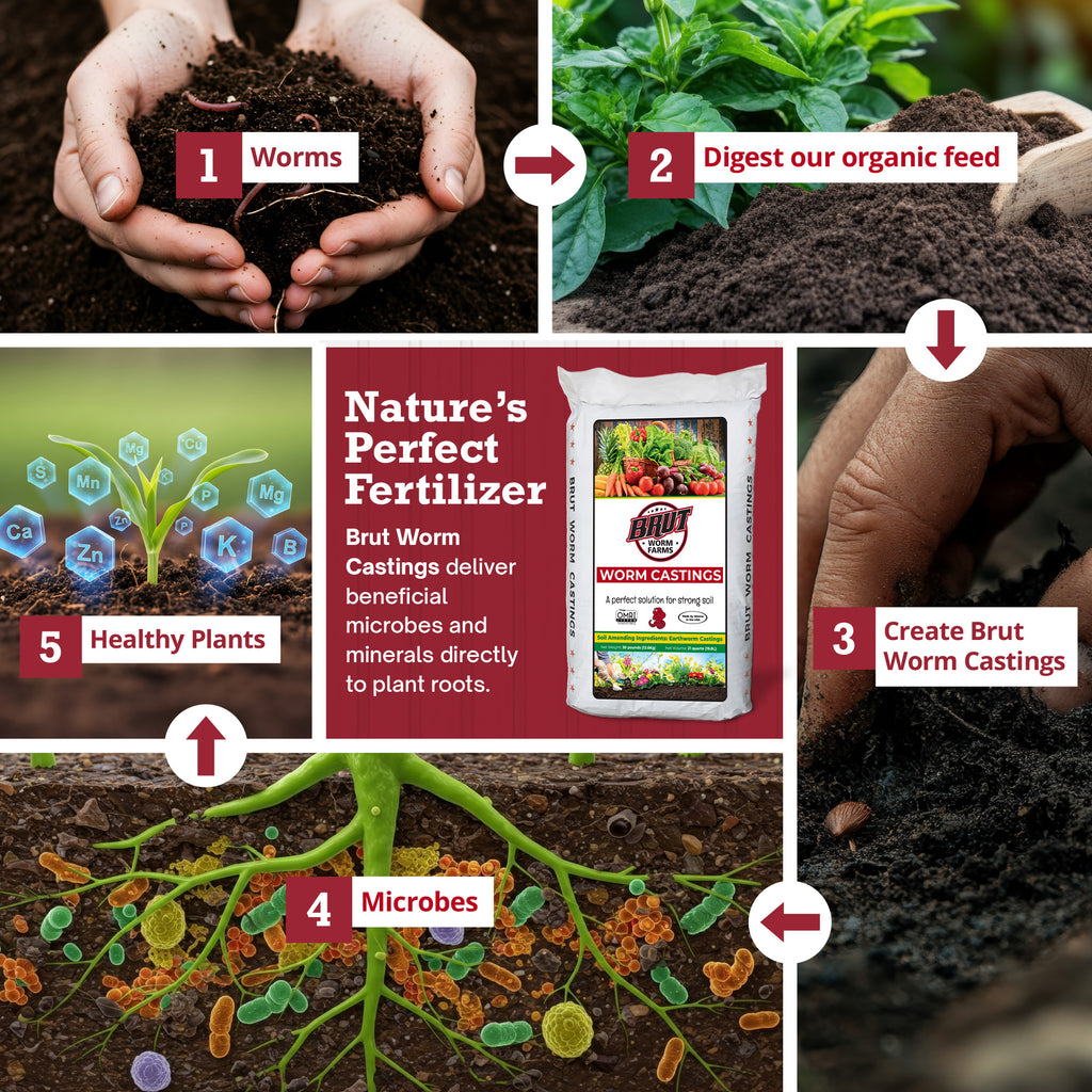 Worm Castings - 30 Lbs