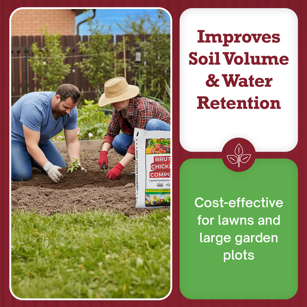 Chicken Compost - 10 Qt