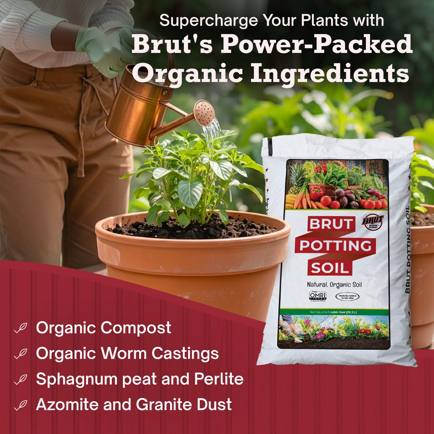 potting mix with worm castings Brut Starter Pack