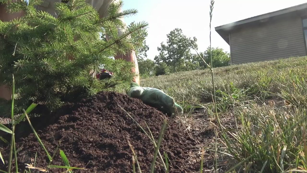 Aspen Mulch - 10 Quart