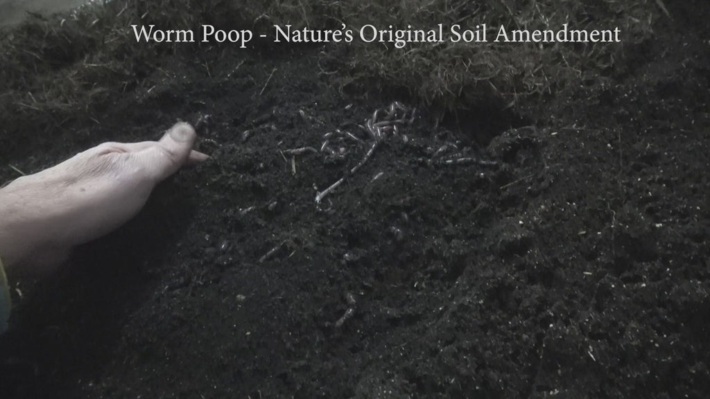 Worm Castings - 30 Lbs