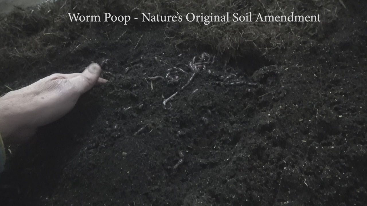 Worm Castings - 30 Lbs